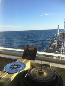 ナルシスト企画